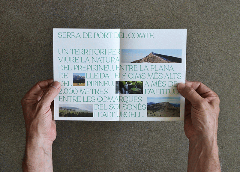 Serra de Port del Comte