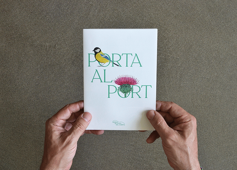 Serra de Port del Comte