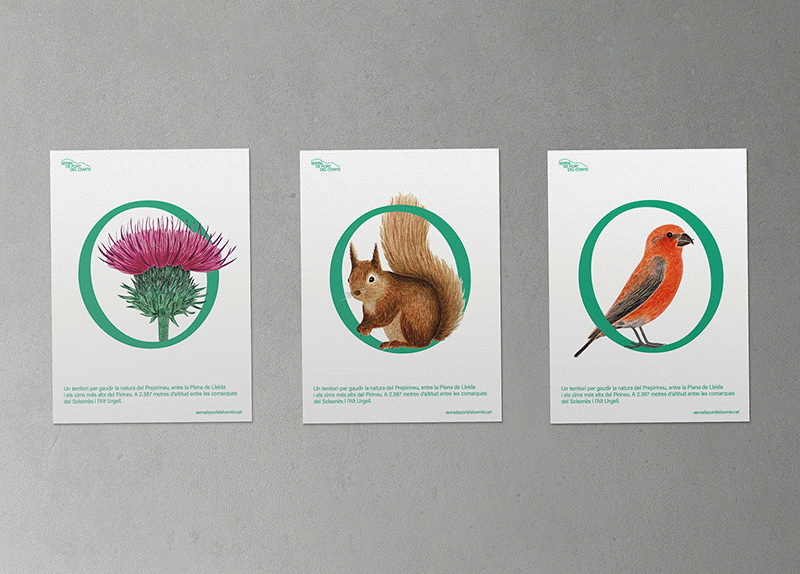 Serra de Port del Comte