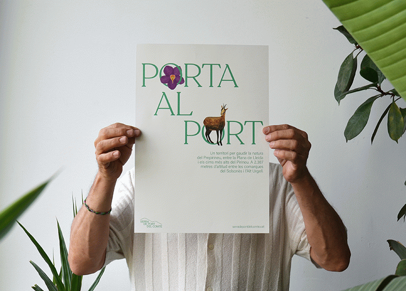 Serra de Port del Comte