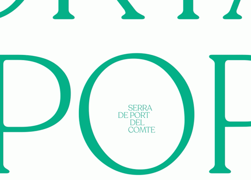 Serra de Port del Comte