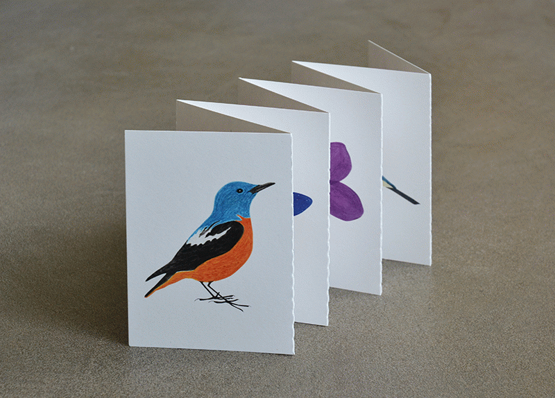 Serra de Port del Comte