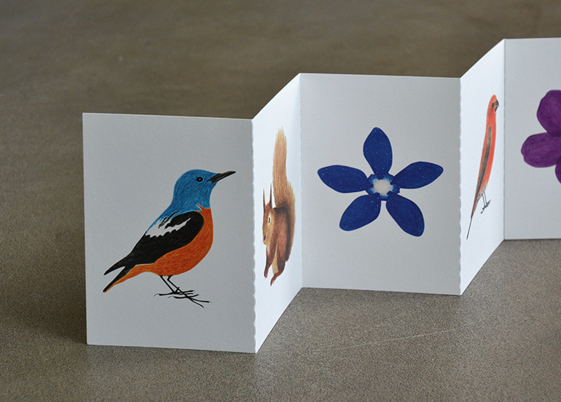 Serra de Port del Comte