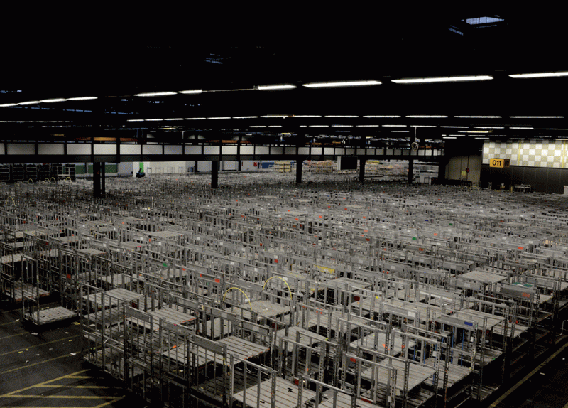 El Saber de les Flors