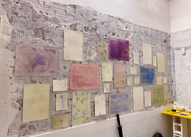 El Saber de les Flors