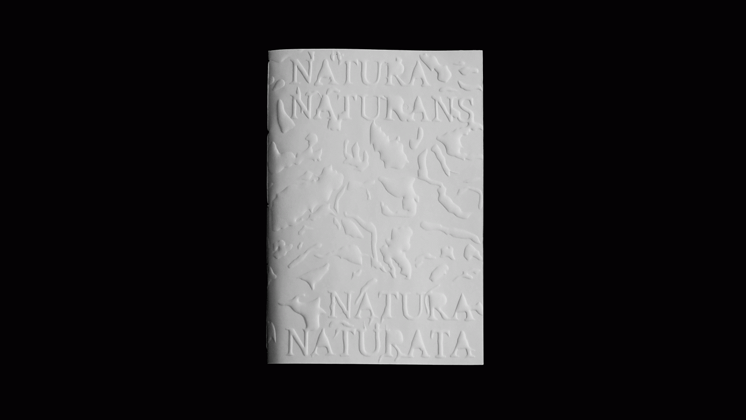 Natura Naturans