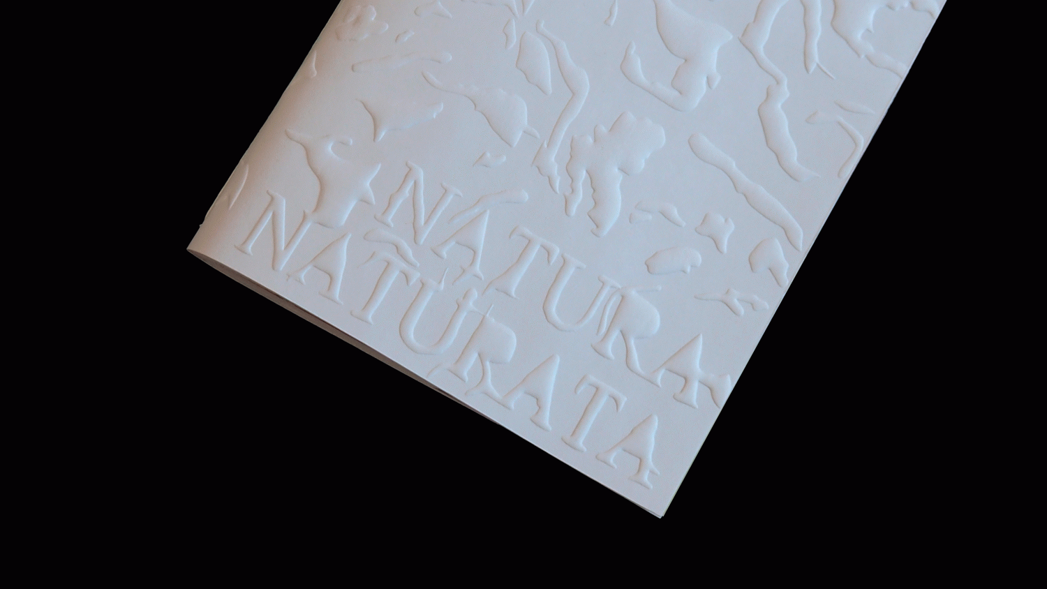 Natura Naturans