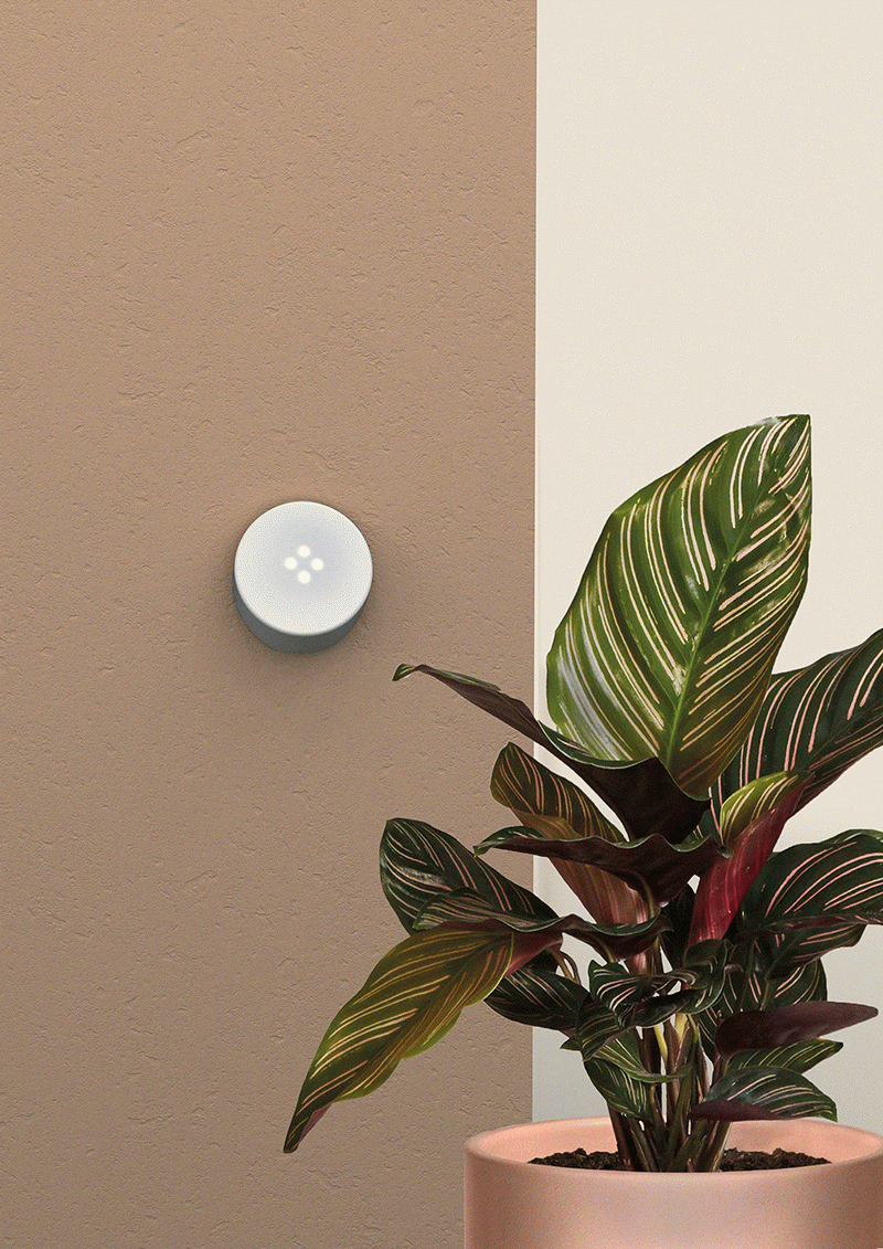 Domus - Berta Rovira Picó