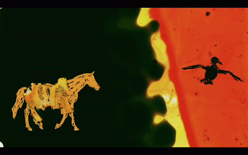 No somos Dioses, de Karla Cuba Miñano