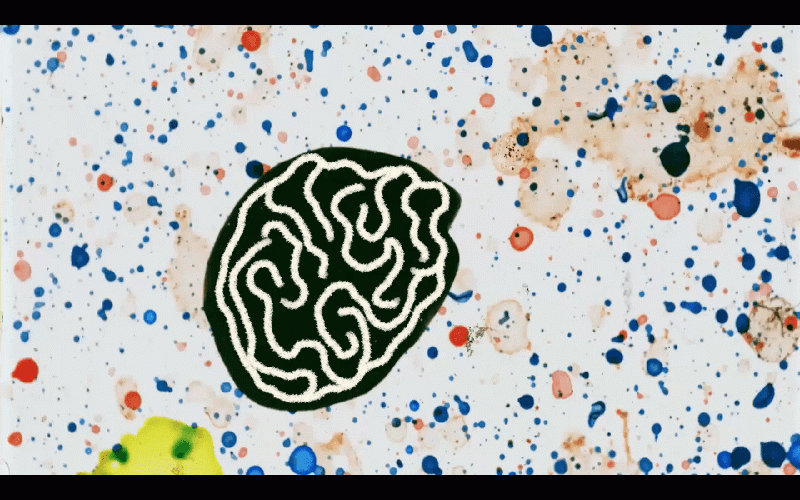 No somos Dioses, de Karla Cuba Miñano