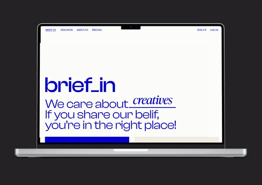 Brief-in 