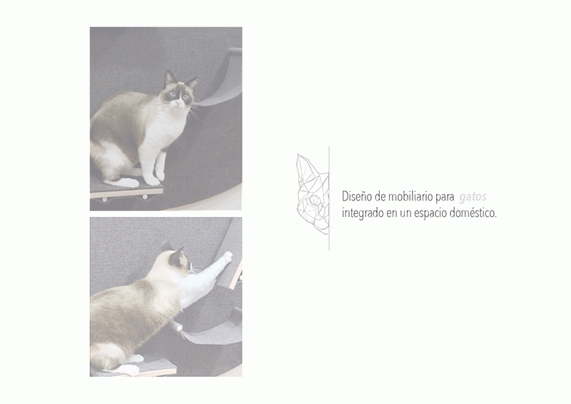 KATWALK - Katia Aleix Vallecillo