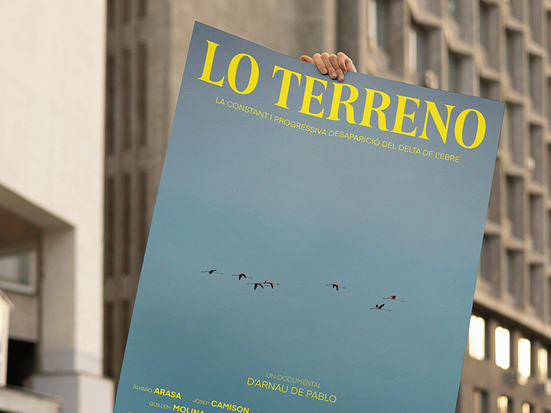 LO TERRENO: La constant i progressiva desaparició del Delta de l'Ebre