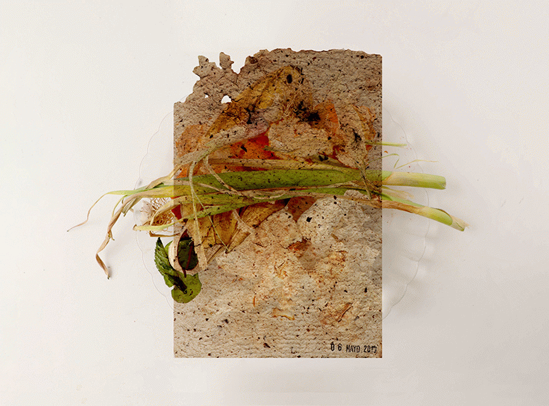 La cuina dels materials. Pràctica del transciclatge a l'espai domèstic - Ona Orozco i Joan