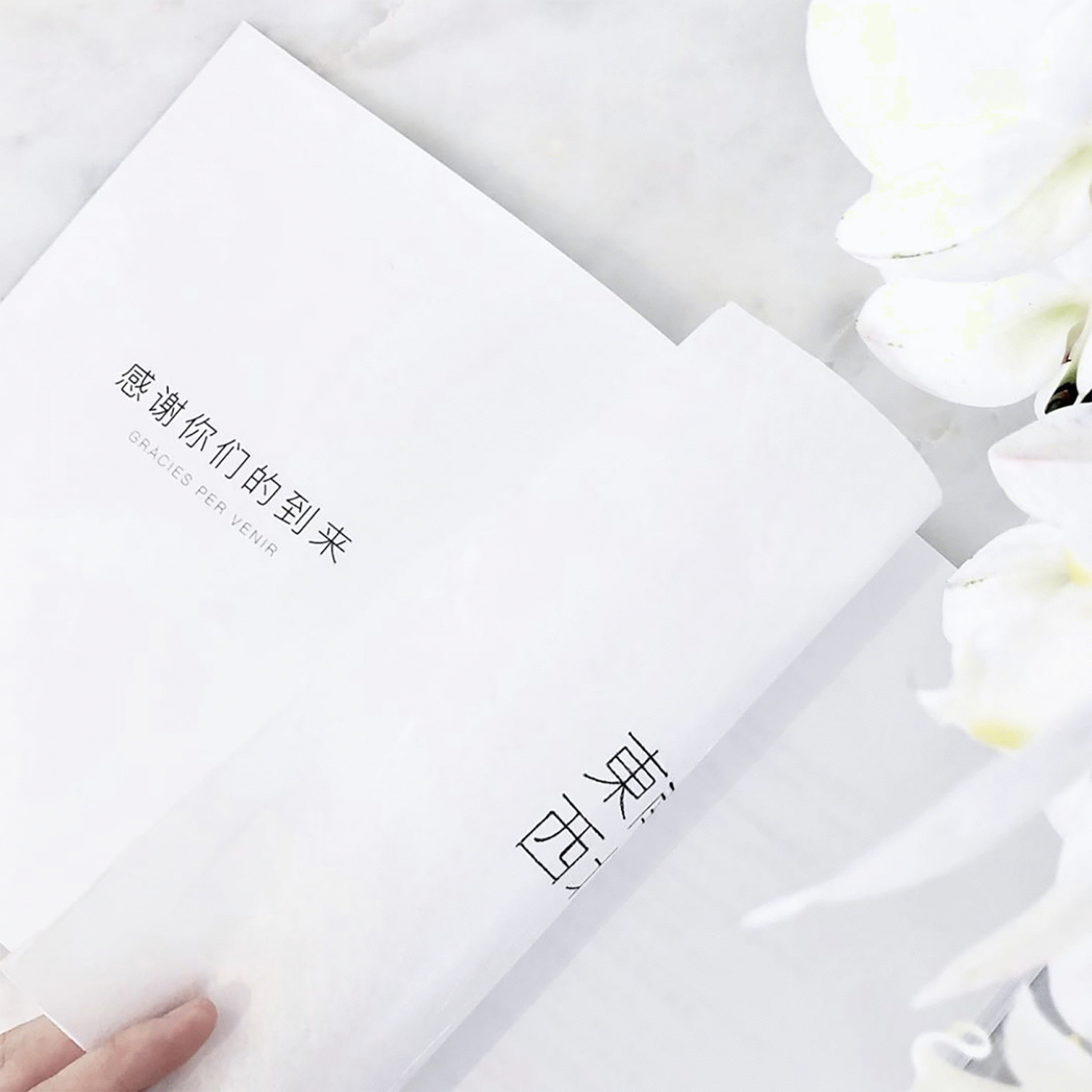 Dong Nan Xi Bei - Ona Solaní Balderas