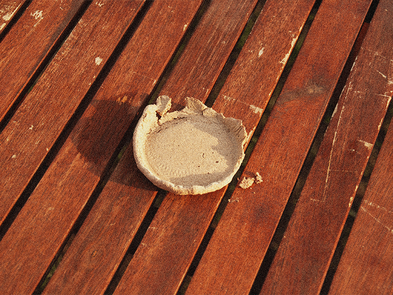 Post-mutación del desecho