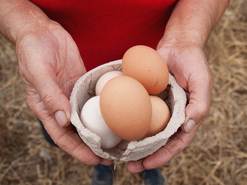 Post-mutación del desecho
