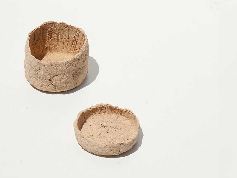 Post-mutación del desecho