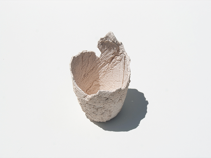 Post-mutación del desecho