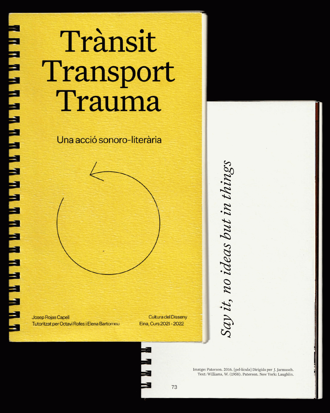 Trànsit Transport Trauma