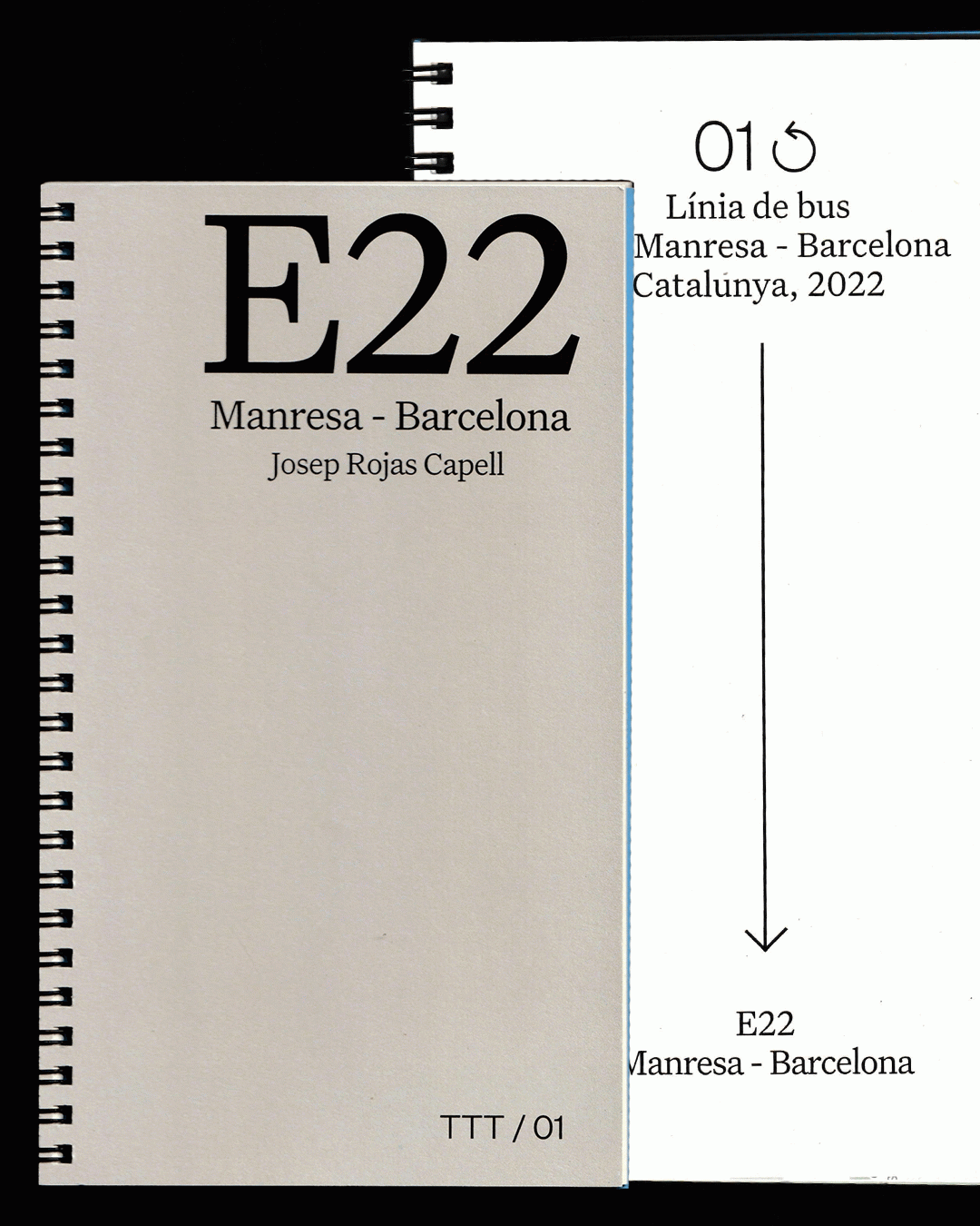 Trànsit Transport Trauma