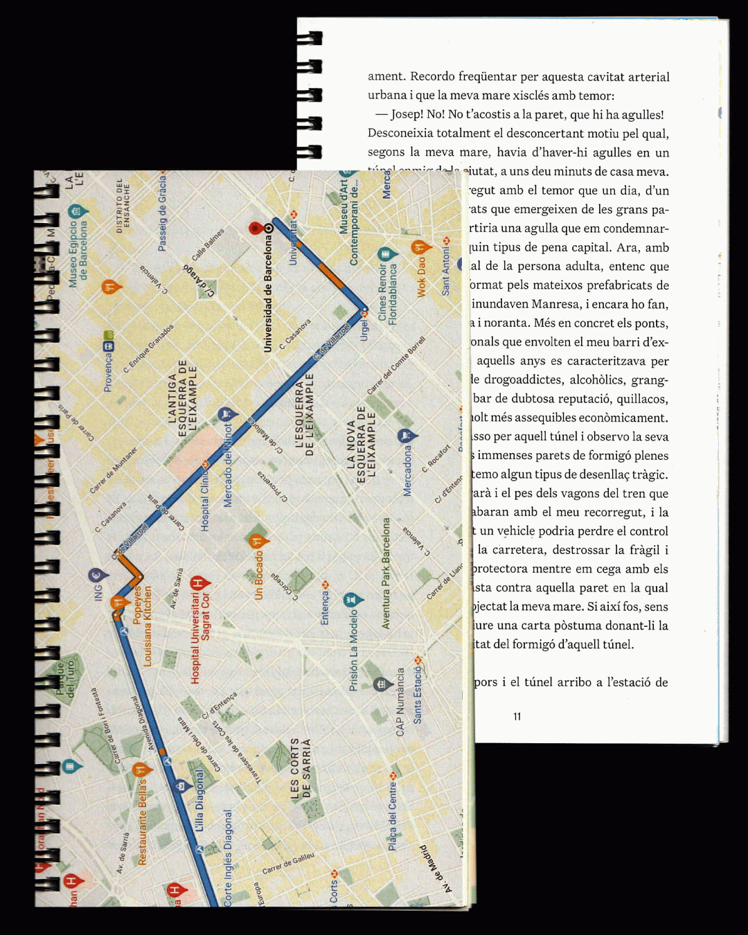 Trànsit Transport Trauma