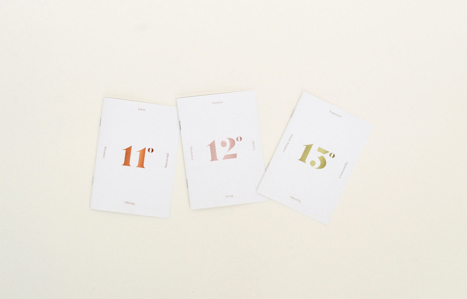 11º 12º 13º - Ana Felipe Sáez