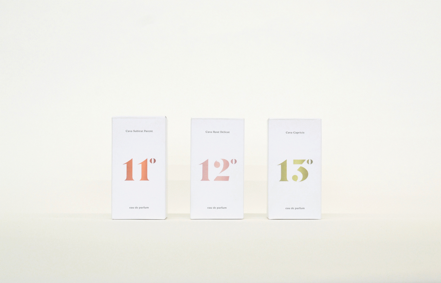 11º 12º 13º - Ana Felipe Sáez