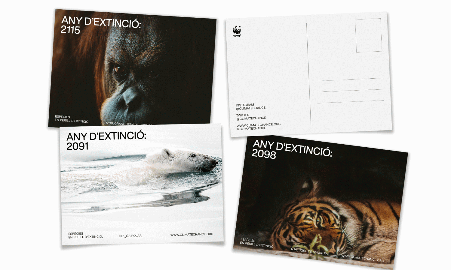 TFG Climate Chance - Anna Rovira Alsina