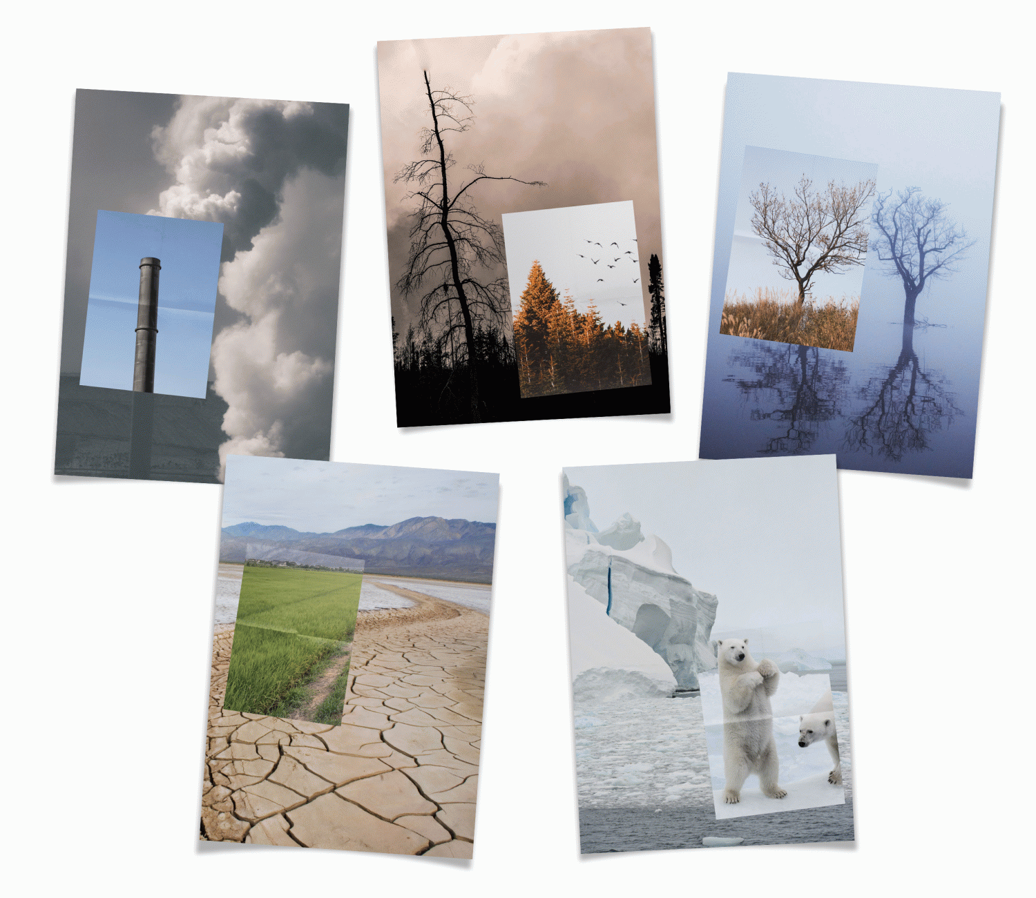 TFG Climate Chance - Anna Rovira Alsina