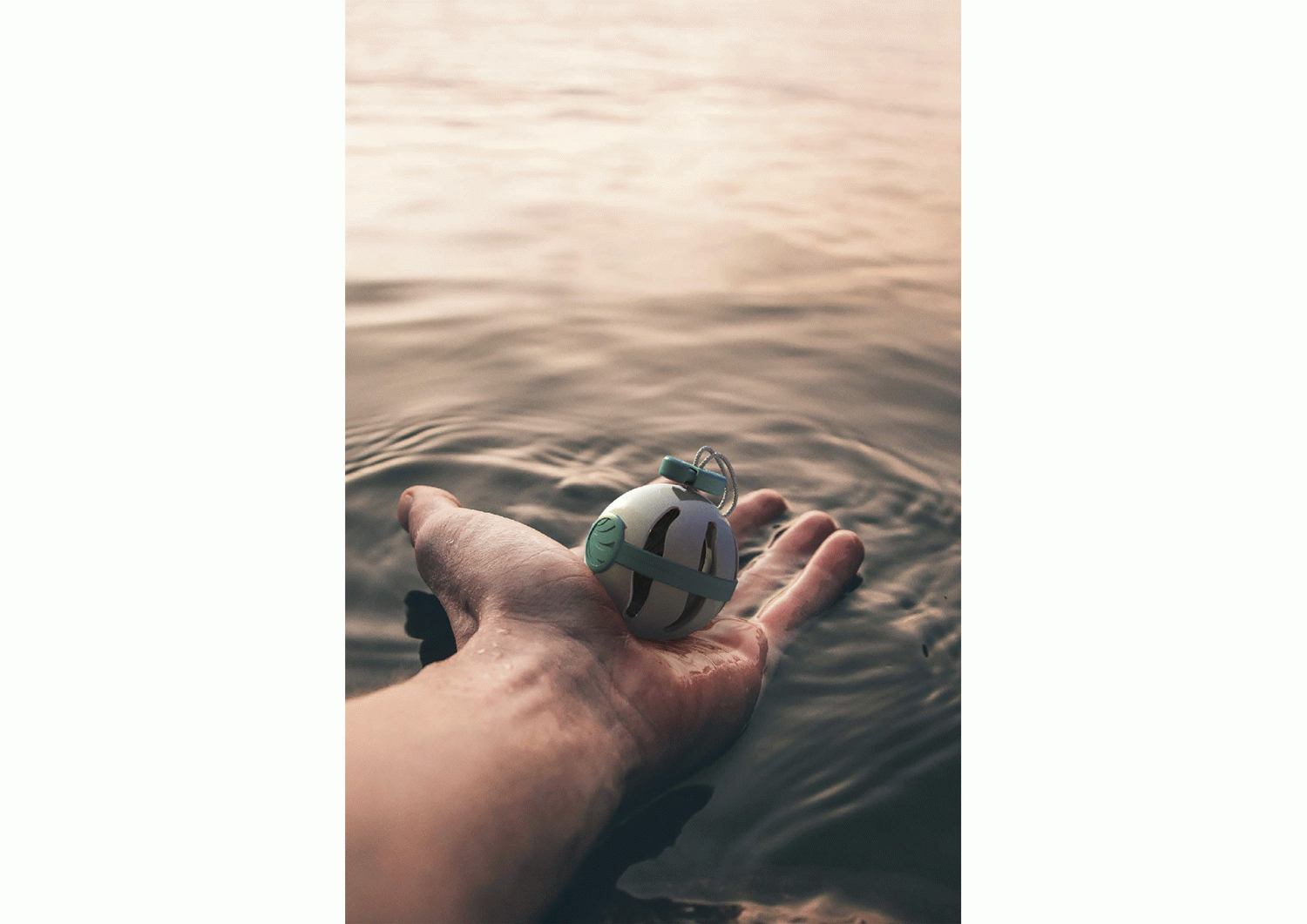 Fishdrum - Jordi Farriol Segura