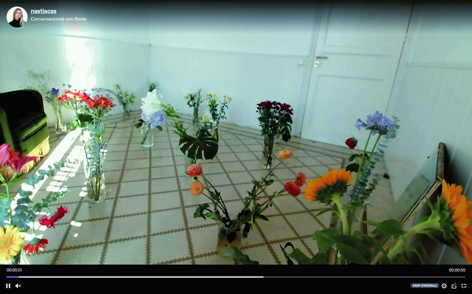 TFG Conversaciones con flores - Nastia Casteleiro 