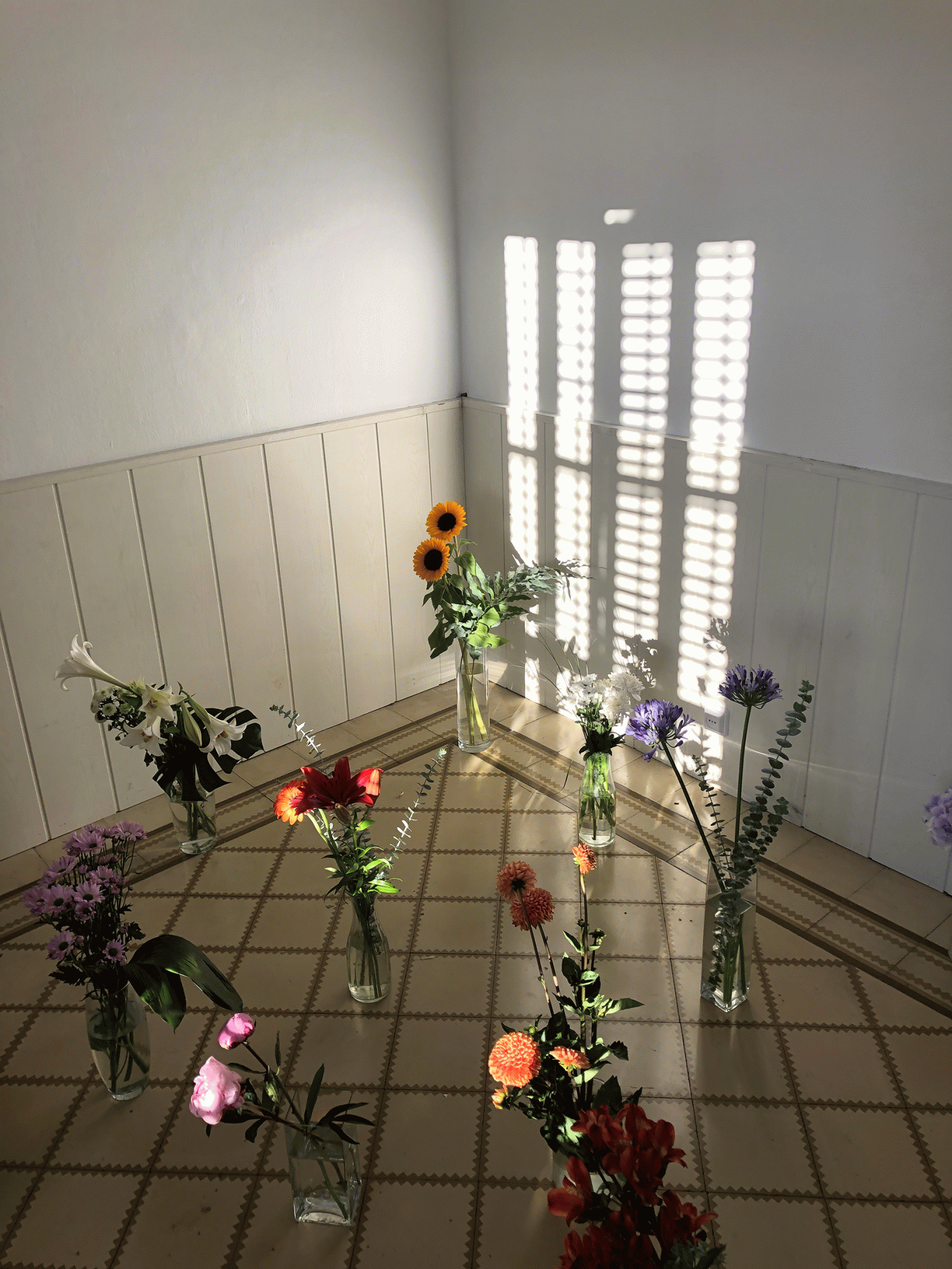 TFG Conversaciones con flores - Nastia Casteleiro 