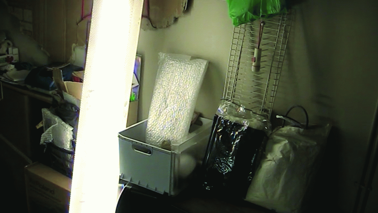 TFG *general arrangement of objects* - pepe