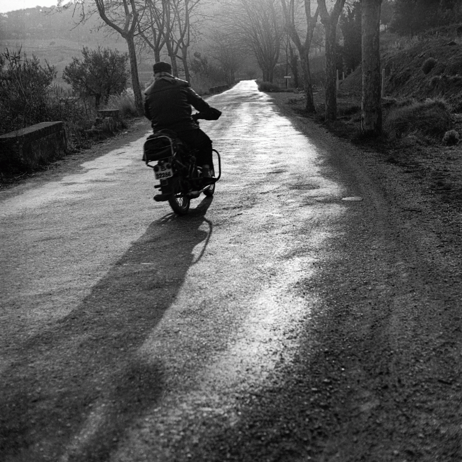 Entre vida, Ramon Llinares