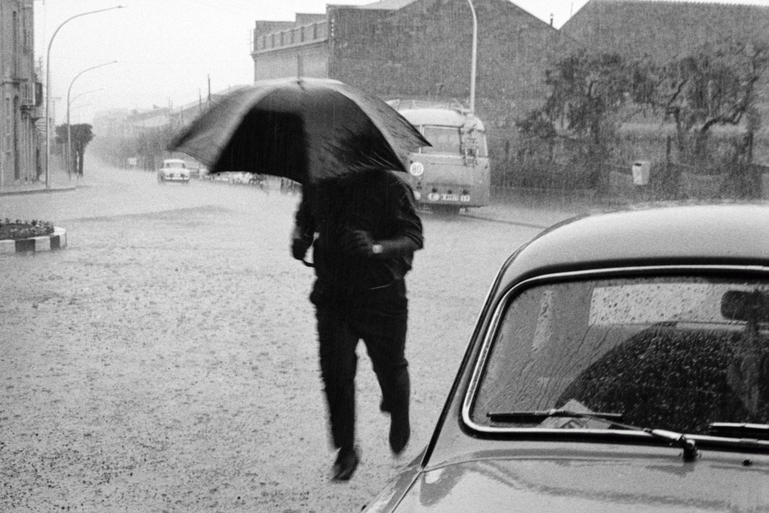 Entre vida, Ramon Llinares