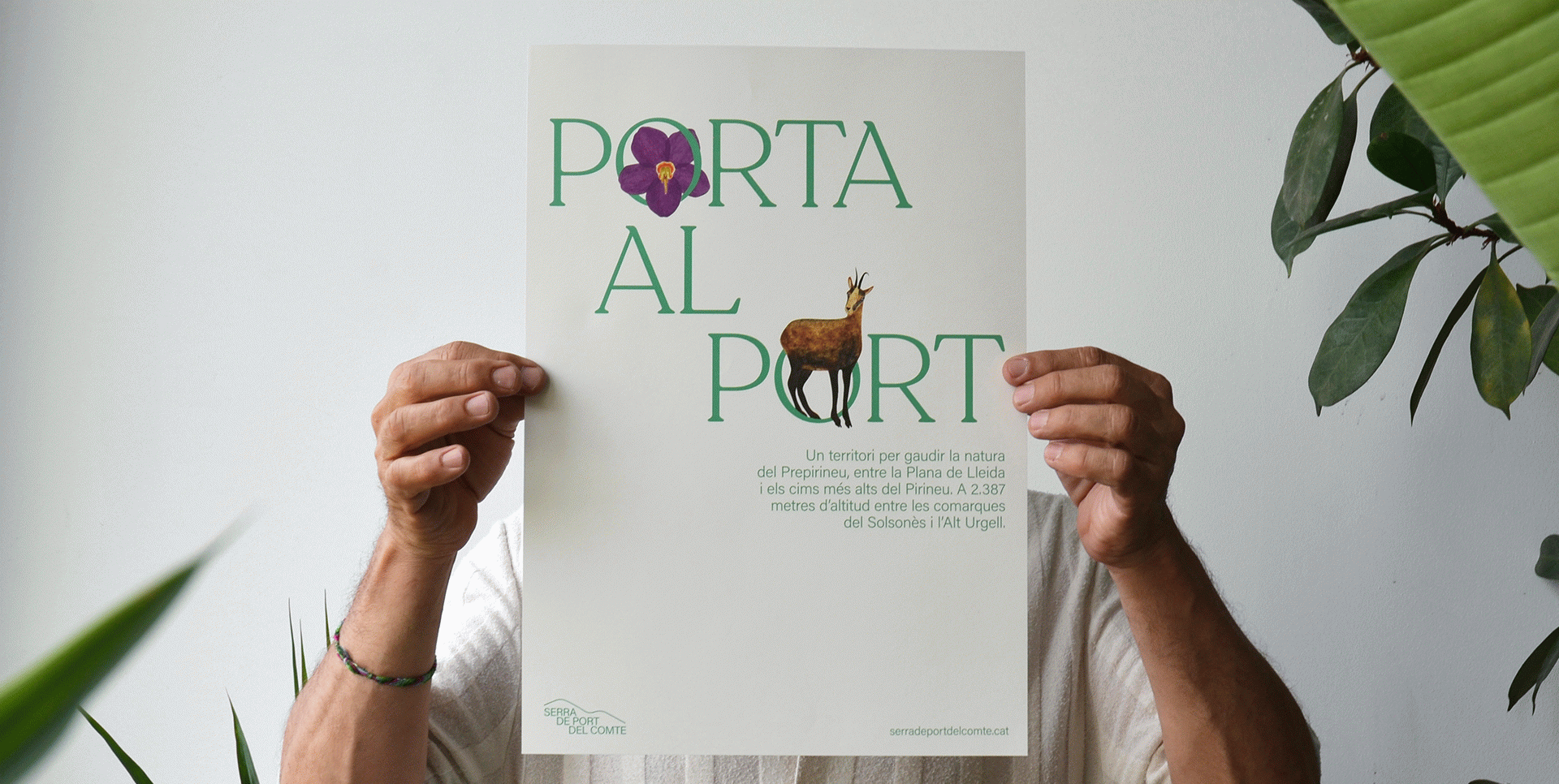 Serra de Port del Comte