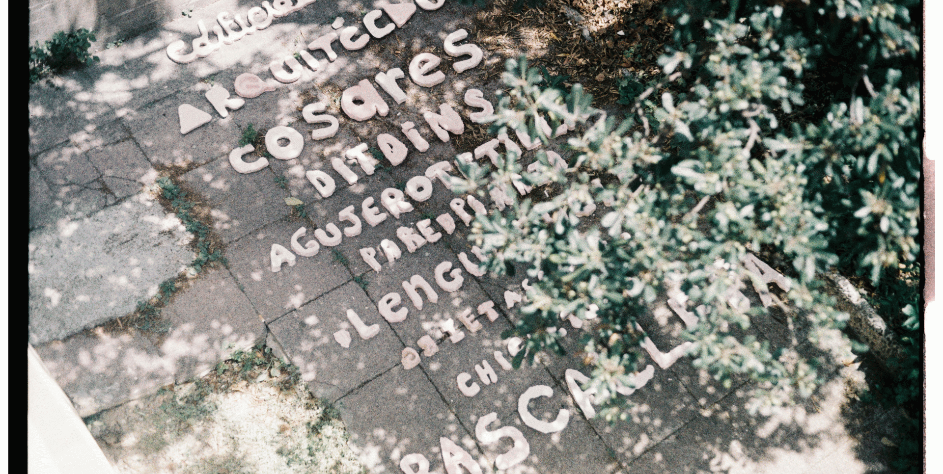 Emboscada #14: Ester Partegàs, einaidea, 2025. Foto: Simón Fernández Katz