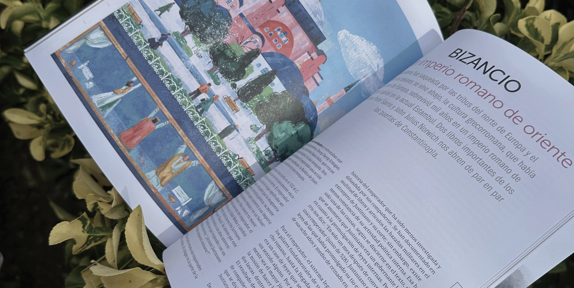 Ana Velasco il·lustra Librújula