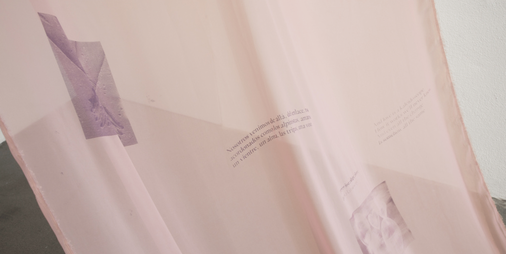 This Crater Of Opacity