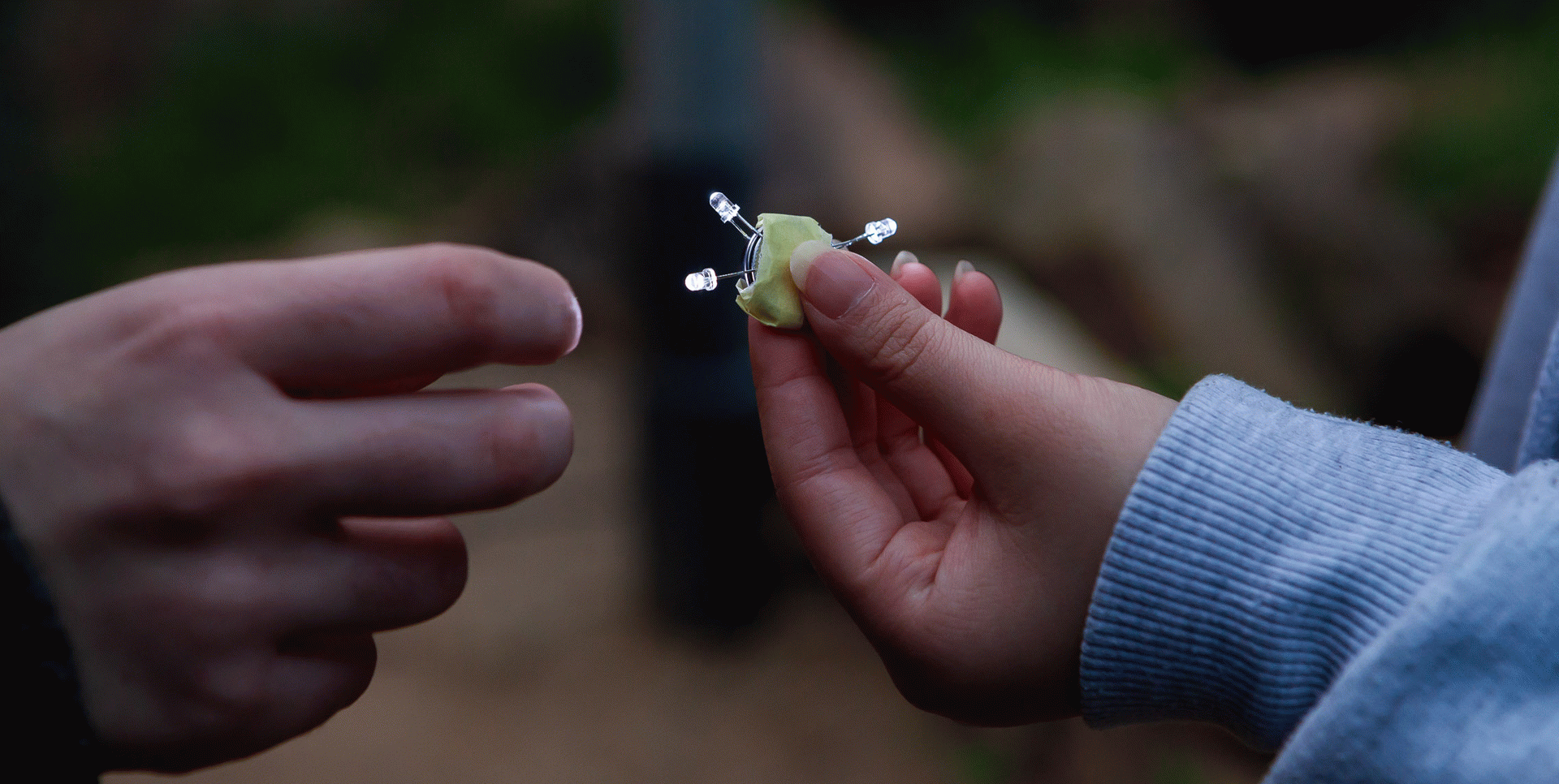 Projecte Repensar la llum del jardí