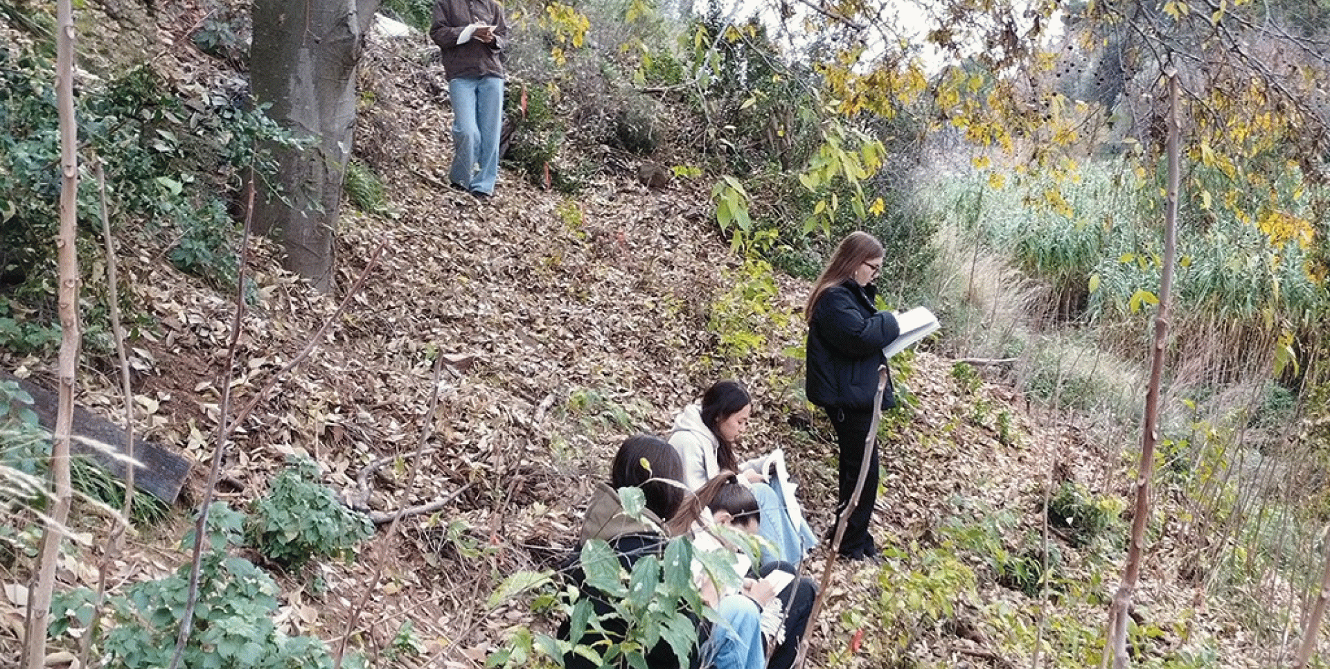 EINA: Porta de Collserola