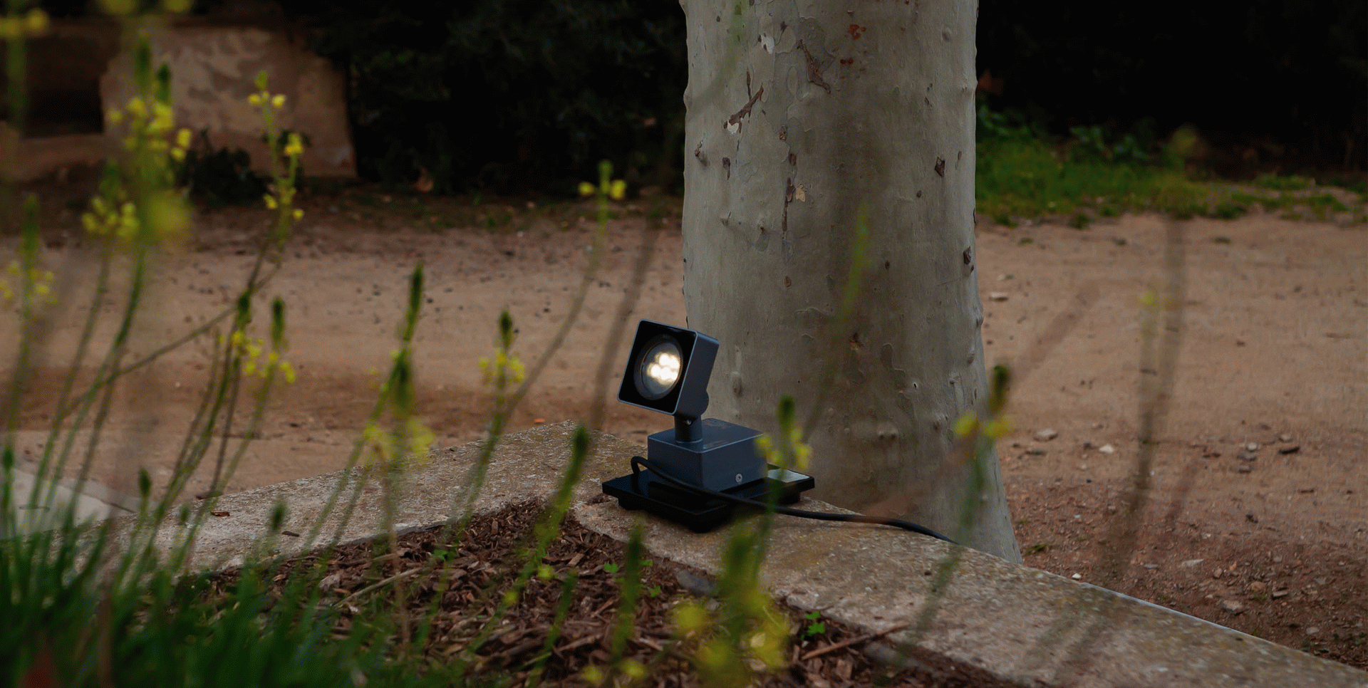 Foto: Alvaro Valdecantos