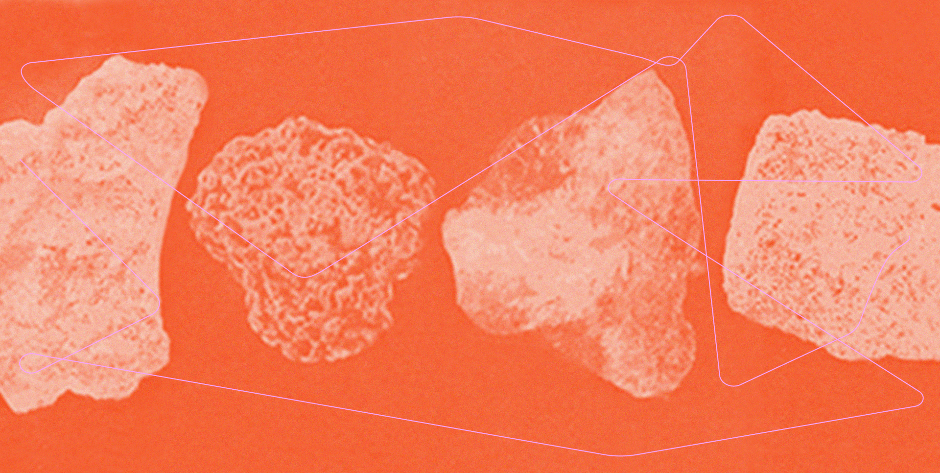 Workshop pigments petris