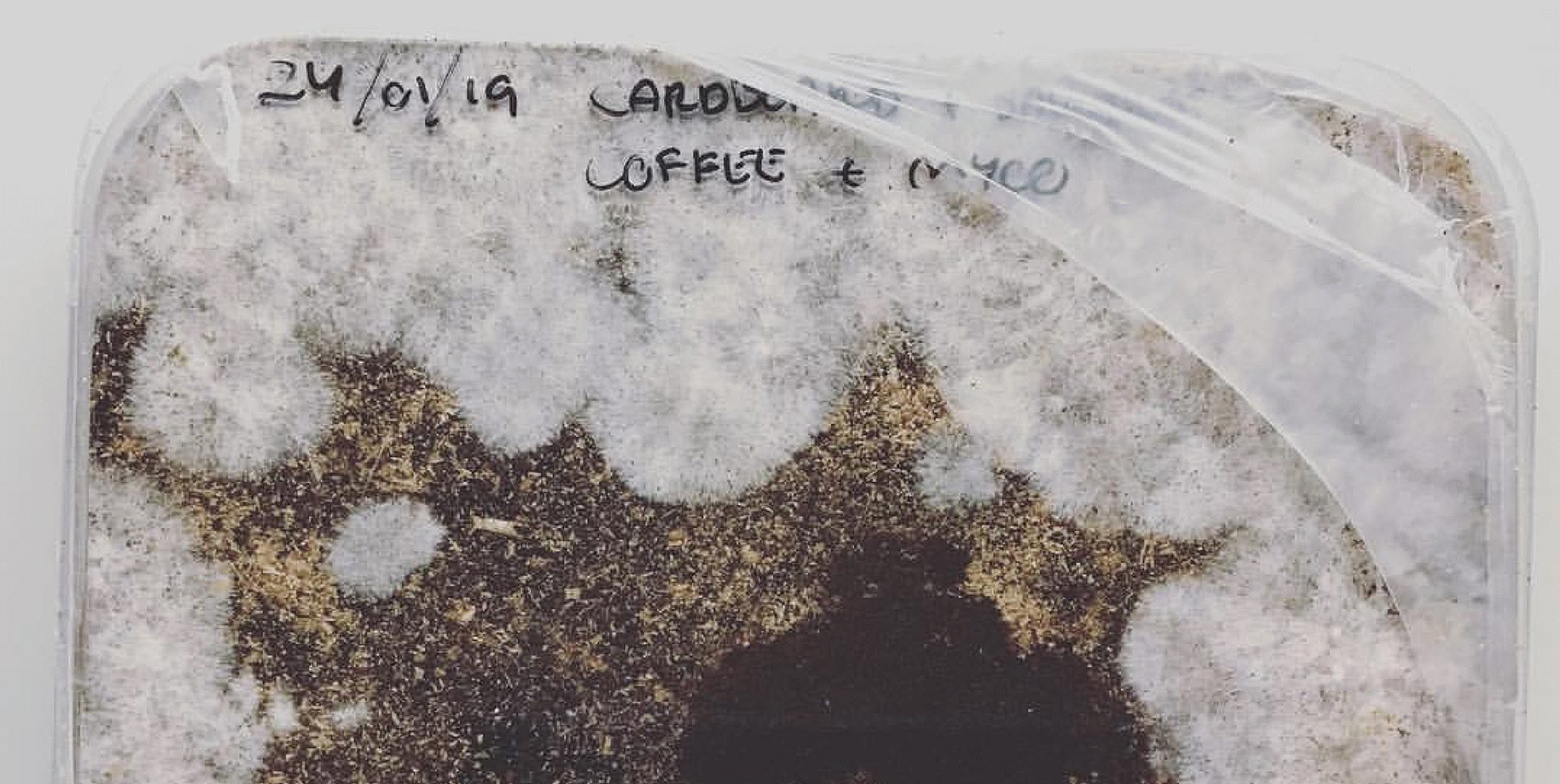 Materialitats emergents