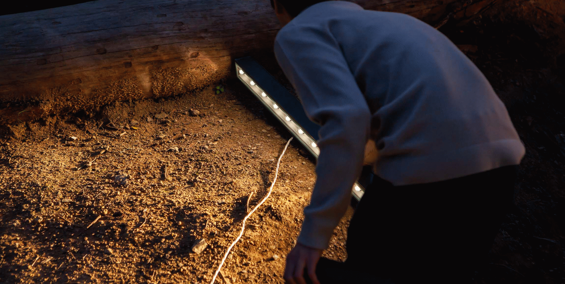 Greta - Francina Ayuso