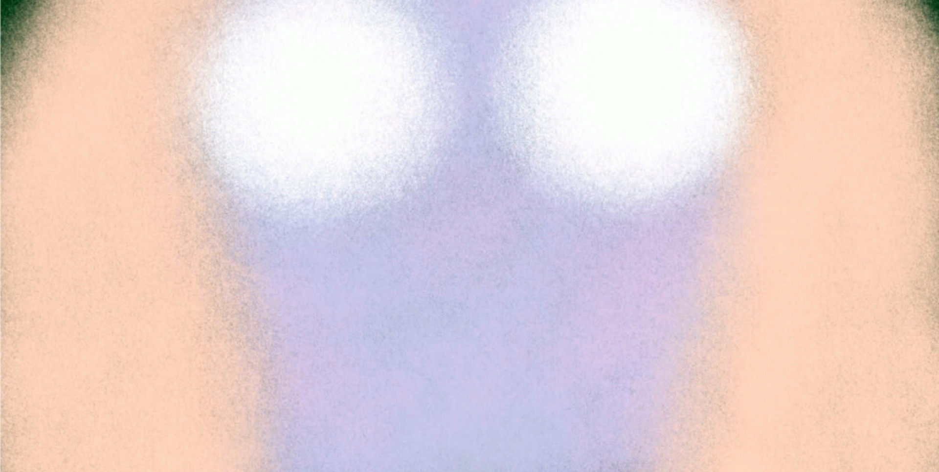 Valentina Silva Irarrazaval, ‘Retratos fantasmas’