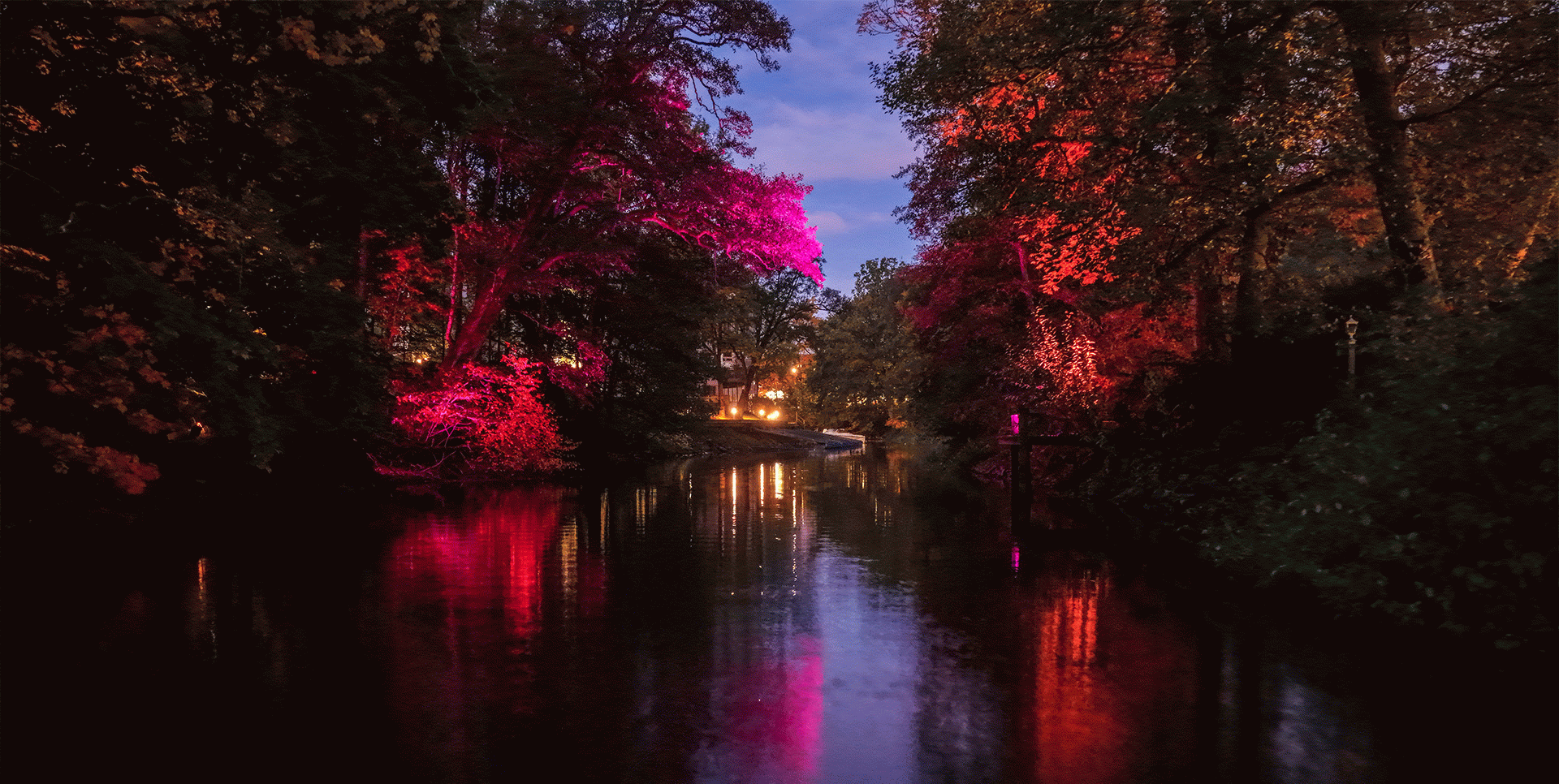 Aina Vilardell al Festival Lights in Alingsås 