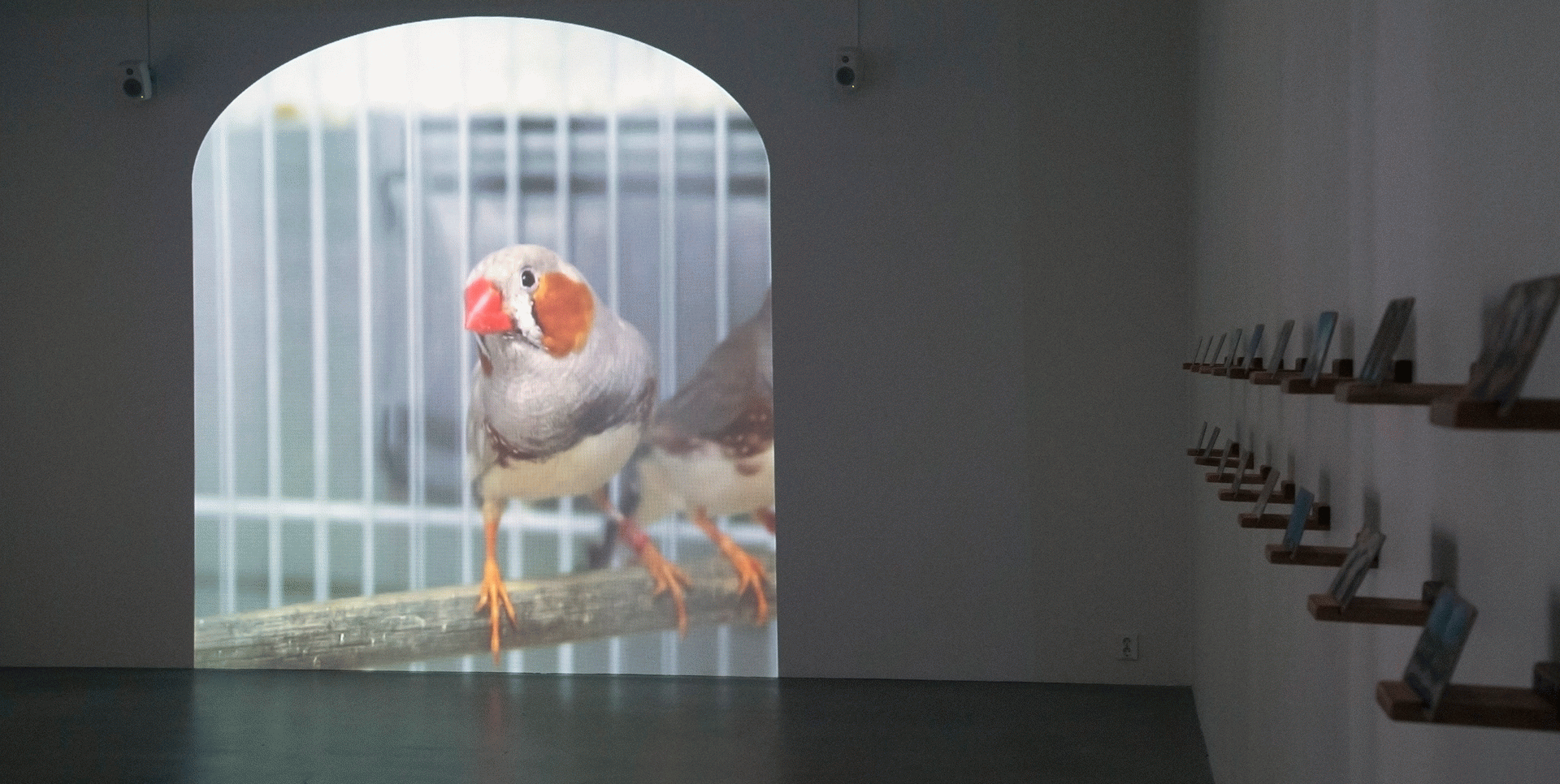 Birding the Future, Krista Caballero & Frank Ekeberg