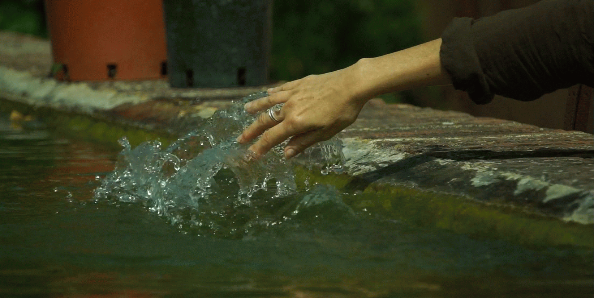 Resilience Thinking Walkshop